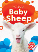 Baby Sheep cover