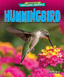 Hummingbird cover