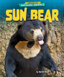 Sun Bear cover