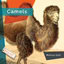 Camels (2024 edition) cover