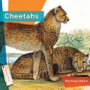 Cheetahs (2024 Edition) cover