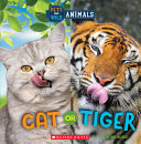 Cat or Tiger cover