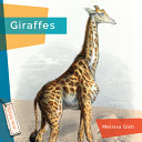 Giraffes (2024 Edition) cover