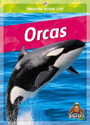 Orcas (Kaleidoscope) cover
