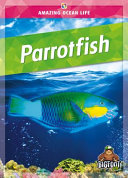 Parrotfish (Kaleidoscope) cover