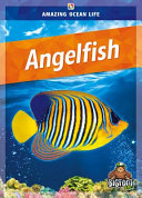 Angelfish (Kaleidoscope) cover
