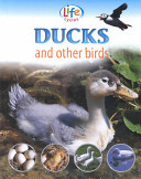 Ducks and Other Birds cover
