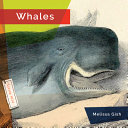Whales (2024 Edition) cover