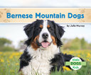 Bernese Mountain Dogs cover