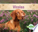 Vizslas cover