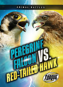 Peregrine Falcon vs. Red-tailed Hawk cover