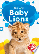 Baby Lions cover