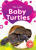 Baby Turtles cover