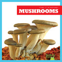 Mushrooms cover