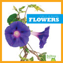 Flowers cover