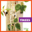 Trees cover