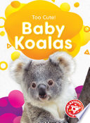 Baby Koalas cover