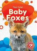 Baby Foxes cover