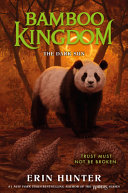 The Dark Sun cover