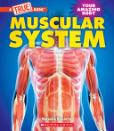 Muscular System cover
