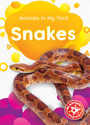 Snakes cover