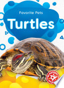 Turtles cover