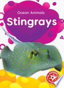 Stingrays cover