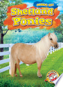 Shetland Ponies cover