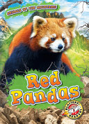Red Pandas cover