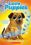 Recipe for Success cover