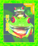 Eyes cover