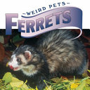Ferrets cover