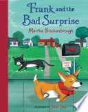 Frank and the Bad Surprise cover