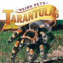 Tarantulas cover