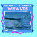 Whales cover