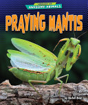 Praying Mantis cover