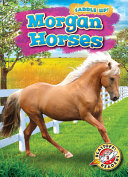Morgan Horses cover