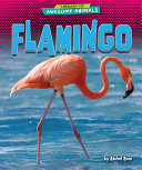 Flamingo cover