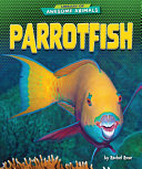 Parrotfish cover
