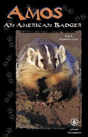 Amos: An American Badger cover