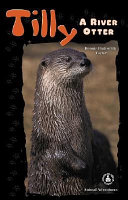 Tilly: A River Otter cover