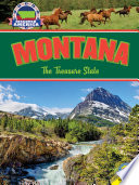 Montana (2002) cover