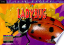 Ladybug cover