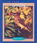 Birds cover