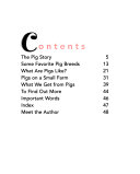 Pigs cover