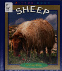 Sheep cover