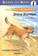 Brave Norman cover