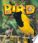 The Life Cycle of a Bird cover