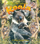 The Life Cycle of a Koala cover