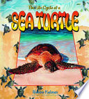 The Life Cycle of a Sea Turtle cover
